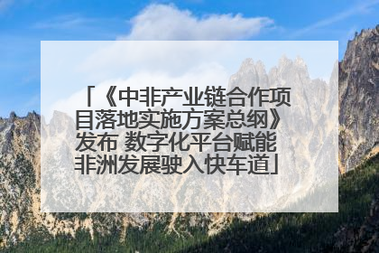 《中非产业链合作项目落地实施方案总纲》发布 数字化平台赋能非洲发展驶入快车道