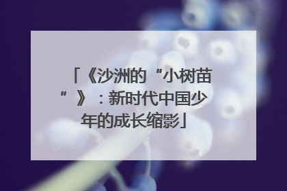 《沙洲的“小树苗”》：新时代中国少年的成长缩影