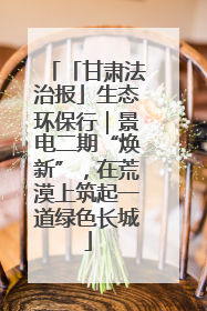「甘肃法治报」生态环保行｜景电二期“焕新”，在荒漠上筑起一道绿色长城