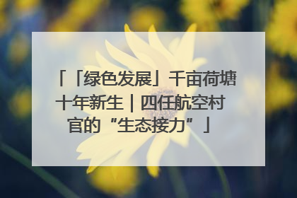 「绿色发展」千亩荷塘 十年新生｜四任航空村官的“生态接力”