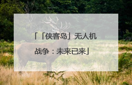「侠客岛」无人机战争：未来已来