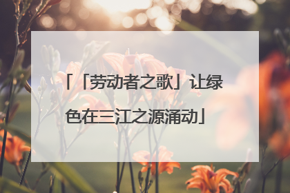「劳动者之歌」让绿色在三江之源涌动