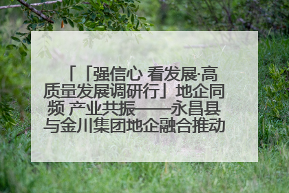 「强信心 看发展·高质量发展调研行」地企同频 产业共振——永昌县与金川集团地企融合推动重大项目建设