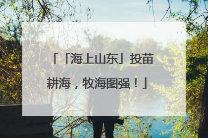 「海上山东」投苗耕海，牧海图强！