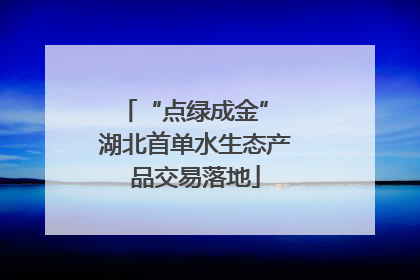 “点绿成金” 湖北首单水生态产品交易落地