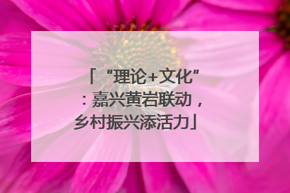 “理论+文化”：嘉兴黄岩联动，乡村振兴添活力