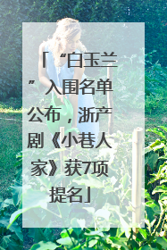 “白玉兰”入围名单公布，浙产剧《小巷人家》获7项提名