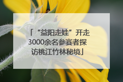 “益阳走娃”开走 3000余名参赛者探访桃江竹林秘境