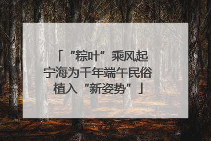 “粽叶”乘风起 宁海为千年端午民俗植入“新姿势”