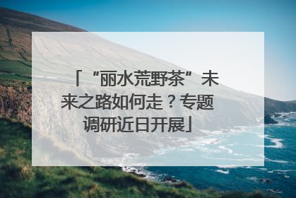 “丽水荒野茶”未来之路如何走？专题调研近日开展