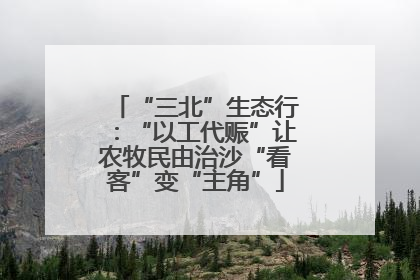 “三北”生态行：“以工代赈”让农牧民由治沙“看客”变“主角”