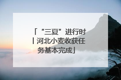 “三夏”进行时丨河北小麦收获任务基本完成