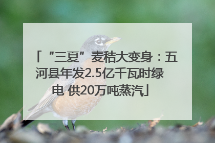 “三夏”麦秸大变身：五河县年发2.5亿千瓦时绿电 供20万吨蒸汽