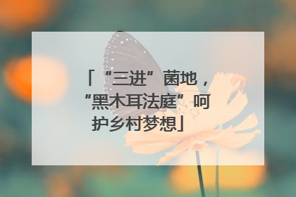 “三进”菌地，“黑木耳法庭”呵护乡村梦想