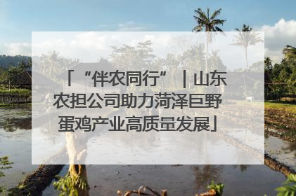 “伴农同行”｜山东农担公司助力菏泽巨野蛋鸡产业高质量发展