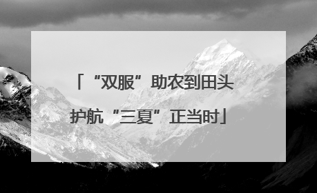 “双服”助农到田头 护航“三夏”正当时