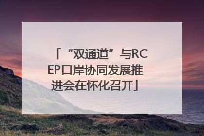 “双通道”与RCEP口岸协同发展推进会在怀化召开
