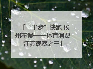 “半步”快跑 扬州不慢——体育消费江苏观察之三