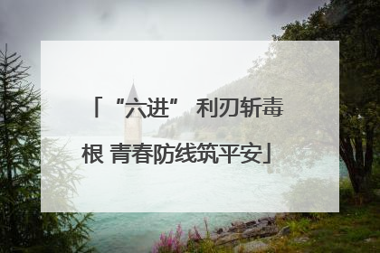 “六进” 利刃斩毒根 青春防线筑平安