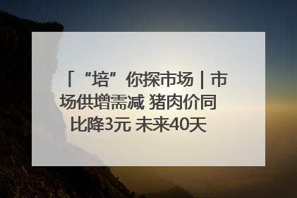 “培”你探市场｜市场供增需减 猪肉价同比降3元 未来40天便宜猪肉敞开吃