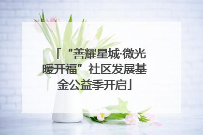 “善耀星城·微光暖开福”社区发展基金公益季开启
