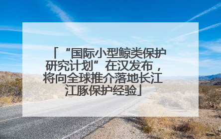 “国际小型鲸类保护研究计划”在汉发布，将向全球推介落地长江江豚保护经验