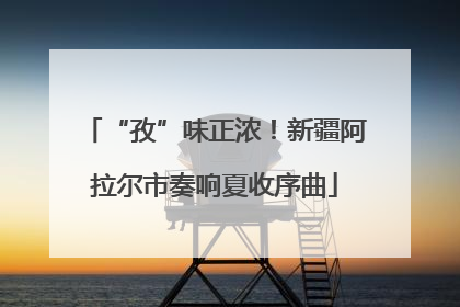 “孜”味正浓！新疆阿拉尔市奏响夏收序曲