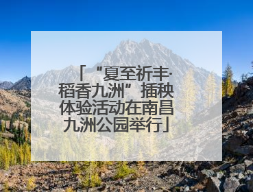 “夏至祈丰·稻香九洲”插秧体验活动在南昌九洲公园举行