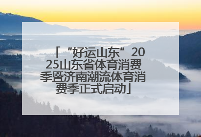 “好运山东”2025山东省体育消费季暨济南潮流体育消费季正式启动