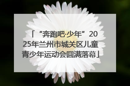 “奔跑吧·少年”2025年兰州市城关区儿童青少年运动会圆满落幕