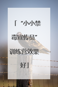 “小小禁毒宣传员”训练营效果好