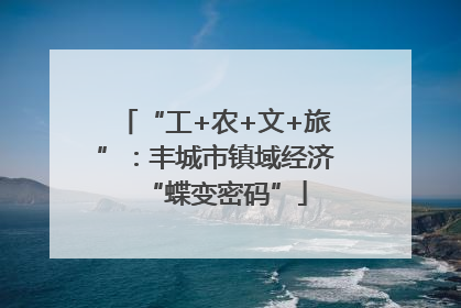“工+农+文+旅”：丰城市镇域经济“蝶变密码”