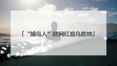 “捕鸟人”建网红观鸟胜地