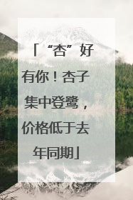 “杏”好有你！杏子集中登鹭，价格低于去年同期