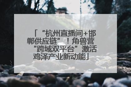 “杭州直播间+邯郸供应链”！角兽营“跨域双平台”激活鸡泽产业新动能