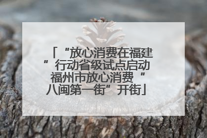 “放心消费在福建”行动省级试点启动 福州市放心消费“八闽第一街”开街