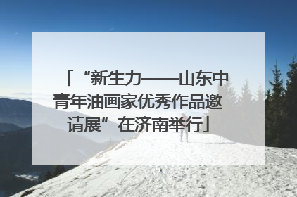 “新生力——山东中青年油画家优秀作品邀请展”在济南举行