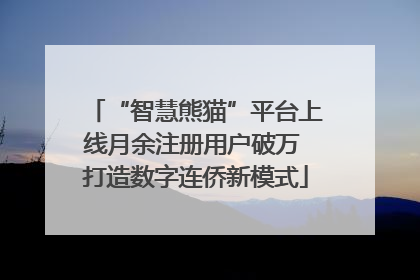 “智慧熊猫”平台上线月余注册用户破万 打造数字连侨新模式