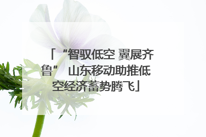 “智驭低空 翼展齐鲁” 山东移动助推低空经济蓄势腾飞