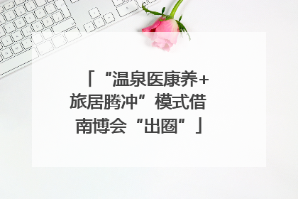 “温泉医康养+旅居腾冲”模式借南博会“出圈”