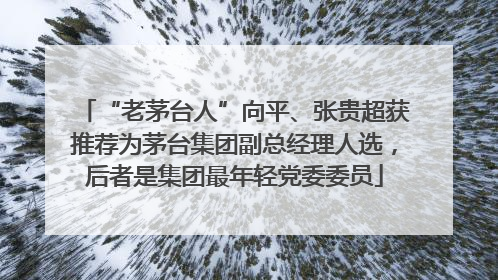 “老茅台人”向平、张贵超获推荐为茅台集团副总经理人选，后者是集团最年轻党委委员