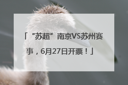 “苏超”南京VS苏州赛事，6月27日开票！