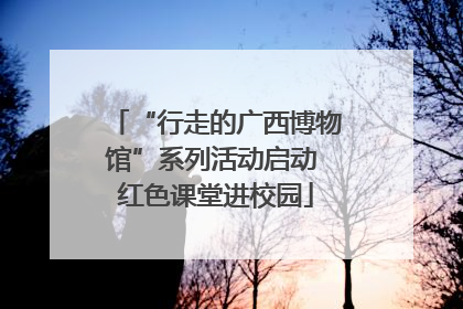 “行走的广西博物馆”系列活动启动 红色课堂进校园