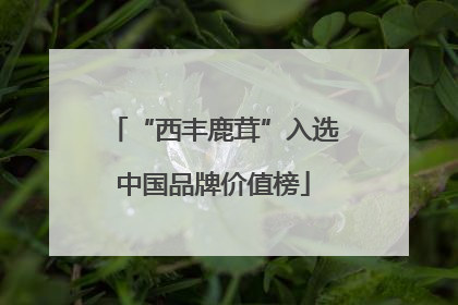 “西丰鹿茸”入选中国品牌价值榜