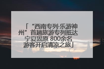 “西南专列·乐游神州”首趟旅游专列抵达宁夏固原 800余名游客开启清凉之旅