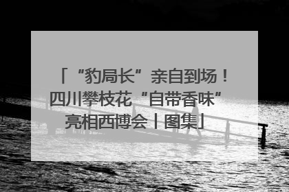 “豹局长”亲自到场！四川攀枝花“自带香味”亮相西博会丨图集