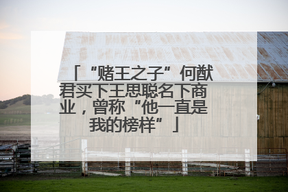 “赌王之子”何猷君买下王思聪名下商业，曾称“他一直是我的榜样”