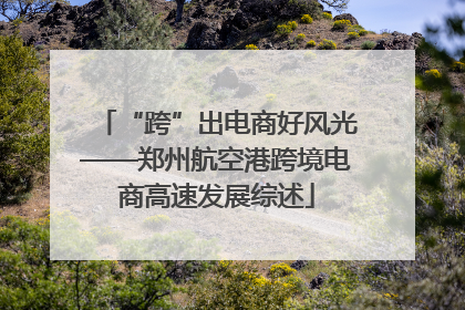 “跨”出电商好风光——郑州航空港跨境电商高速发展综述