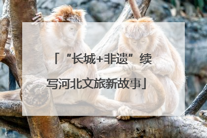 “长城+非遗”续写河北文旅新故事