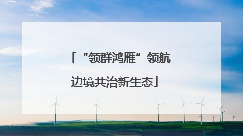 “领群鸿雁”领航边境共治新生态